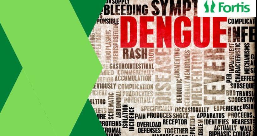 Dengue Shock Syndrome