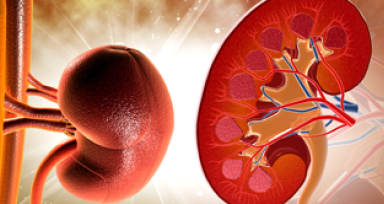 Kidney Disease And Heart Health